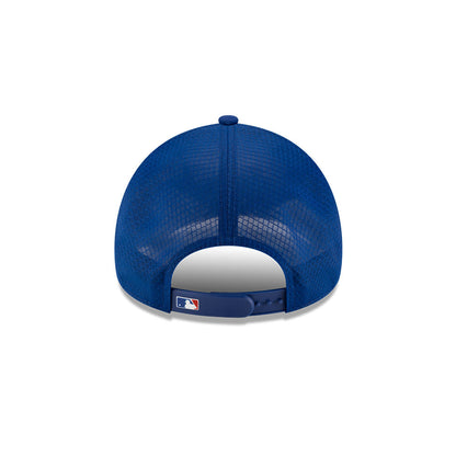 Chicago Cubs New Era 2026 Batting Practice 9Forty APEX "C" Logo Snap Adjustable Hat-Royal