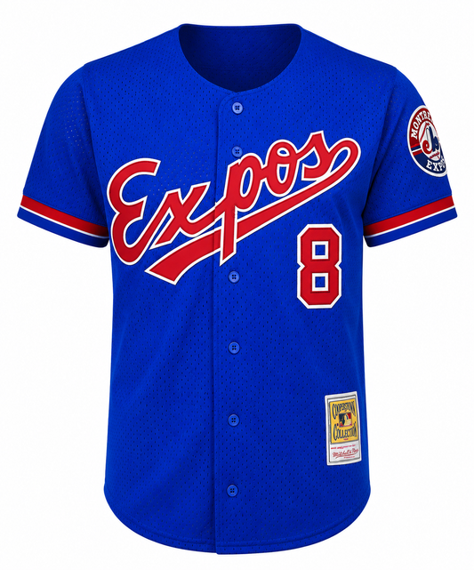 Camiseta de práctica de bateo de malla auténtica de los Montreal Expos Gary Carter Mitchell & Ness Royal 1992 Colección Cooperstown para hombre