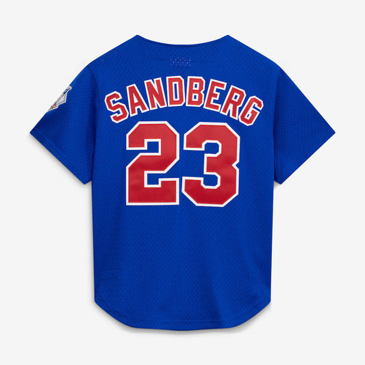 Mitchell & Ness Ryne Sandberg Chicago Cubs 1997 Authentic BP Button Down Jersey